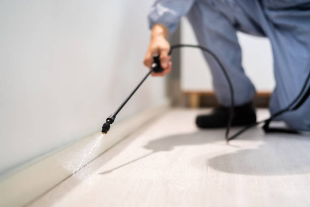 Rodent Entry Point Assessment in Rockford