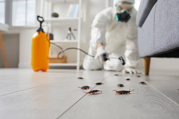 Commercial Rodent Management in Rockford